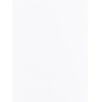 Jessica Moreno Hermès Diamond Himalayan Birkin