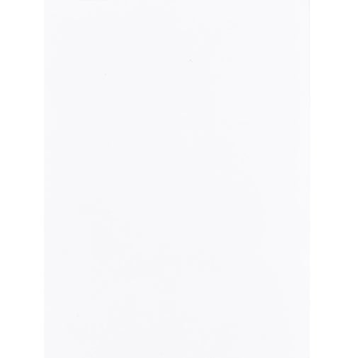 Jessica Moreno Hermès Diamond Himalayan Birkin