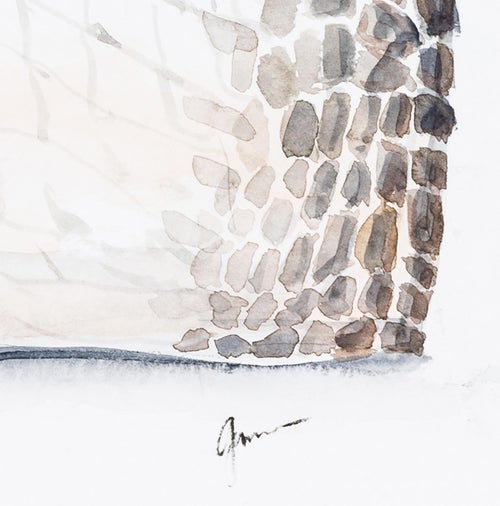 Jessica Moreno Hermès Diamond Himalayan Birkin