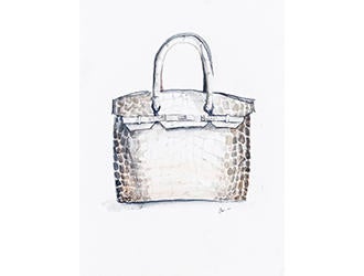 Hermès Diamond Himalayan Birkin