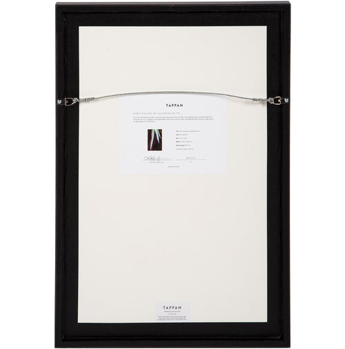 Brian Merriam Thermal Explorer, Forgotten World 47