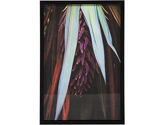 Thermal Explorer, Forgotten World 47