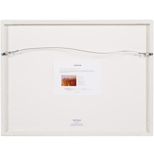 Brian Merriam Inner Weather 2