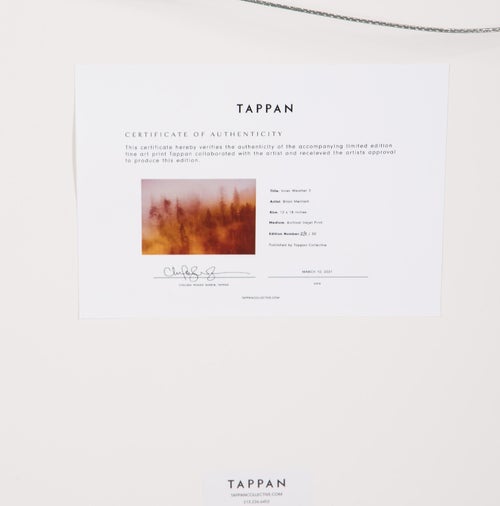 Brian Merriam Inner Weather 2