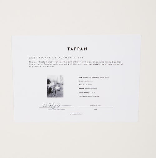 Brian Merriam Prints A Kiss to You Towards the Setting Sun 29