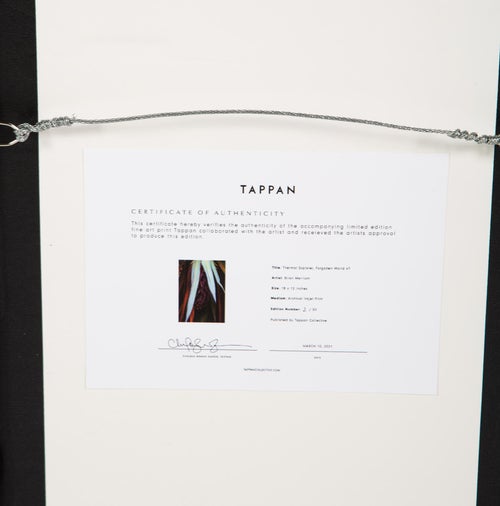 Brian Merriam Thermal Explorer, Forgotten World 47