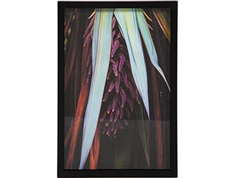 Thermal Explorer, Forgotten World 47