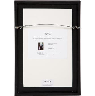 Brian Merriam Thermal Explorer, Forgotten World 47