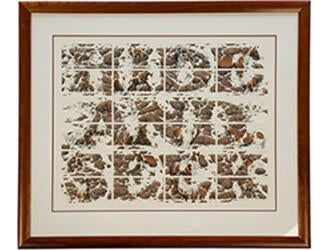 Prints Hide and Seek Composite