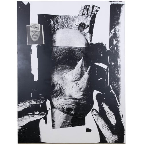 Lucie Stahl Untitled