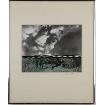 Roy Lichtenstein Fish and Sky