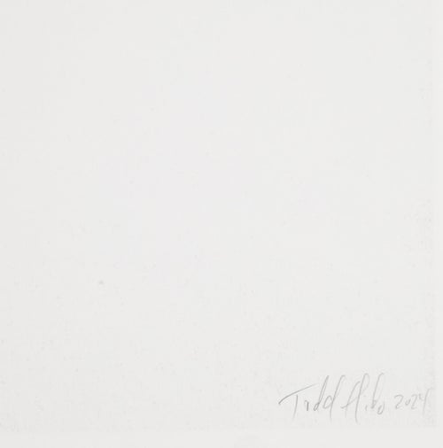 Todd Hido Prints #2479-a