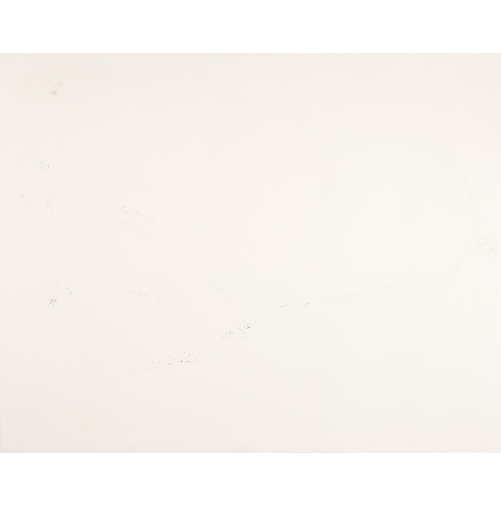 Tom Everhart Bora Bora Boogie Oogie