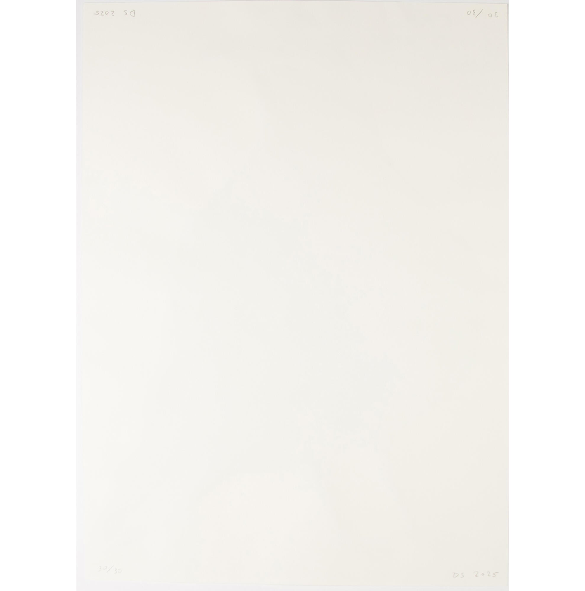 David Shrigley I Can Sing for You