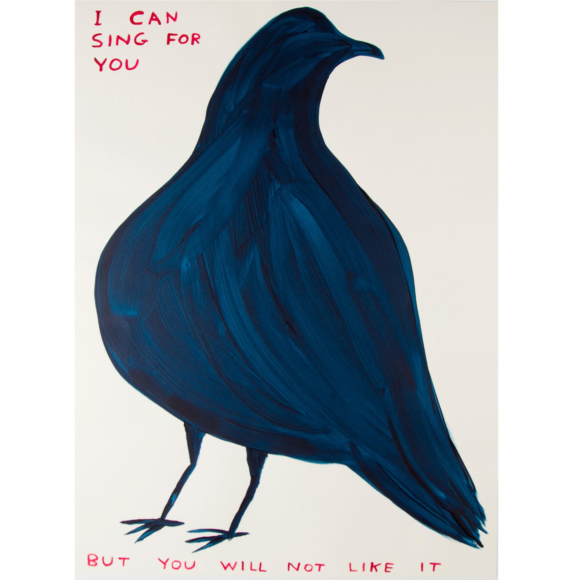 David Shrigley  I Can Sing for You
